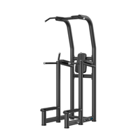 GYMX VERTICAL KNEE RAISE/DIP   - Free Weight Training FX005